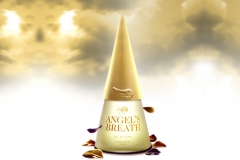 Angelitos01 Angelitos01